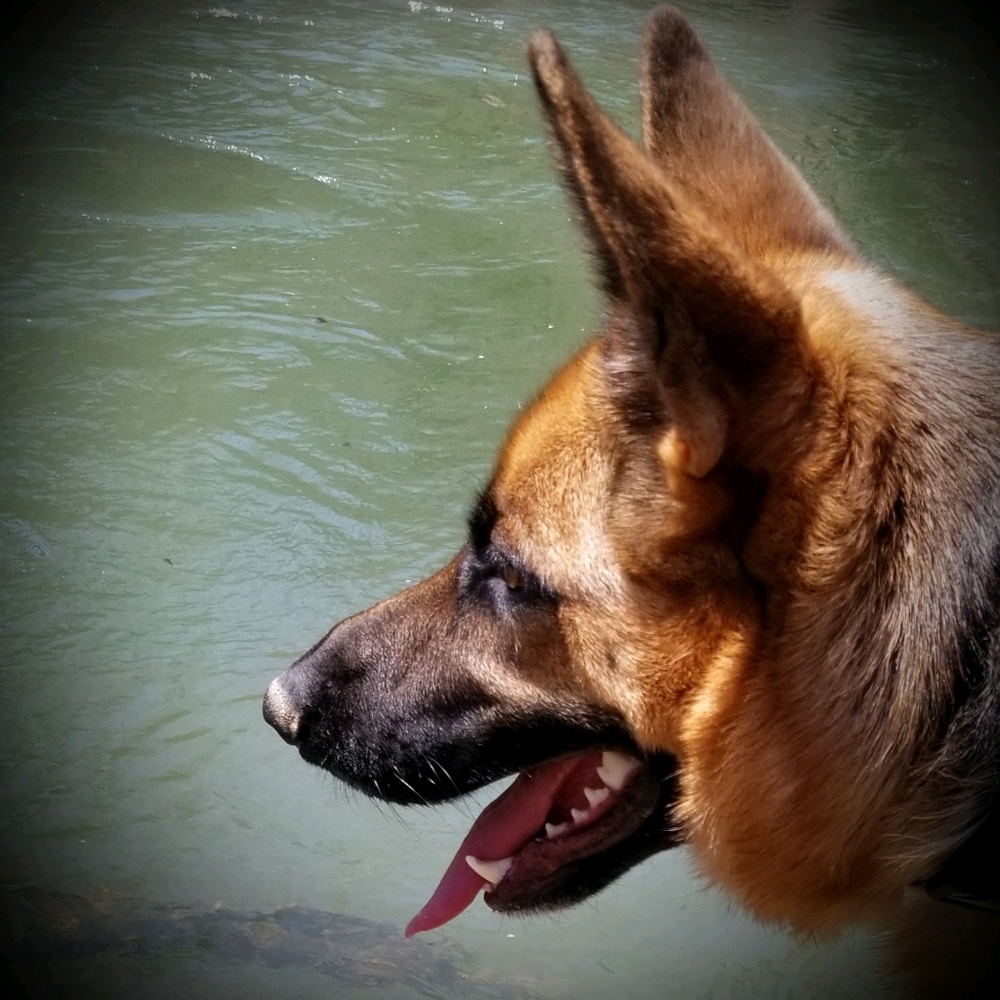 Meet your Posher, Alicia